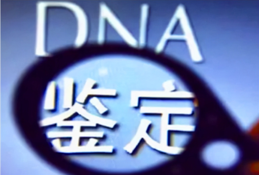 石家庄正规亲子鉴定中心,