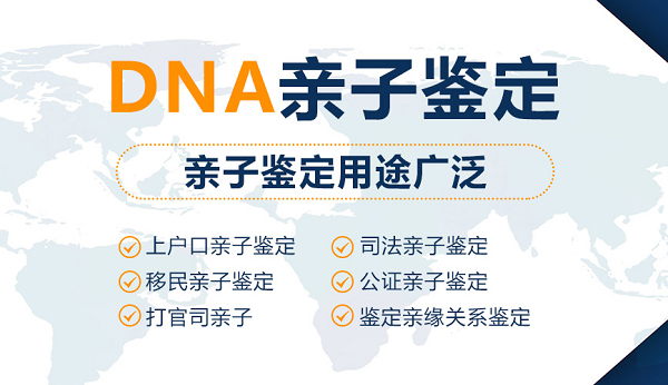 石家庄怀孕13周可以做产前亲子鉴定吗,石家庄办理无创孕期亲子鉴定收费多少钱 石家庄怀孕13周可以做产前亲子鉴定吗,石家庄办理无创孕期亲子鉴定收费多少钱