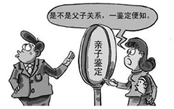 石家庄DNA鉴定哪家机构最好，石家庄亲子鉴定的流程
